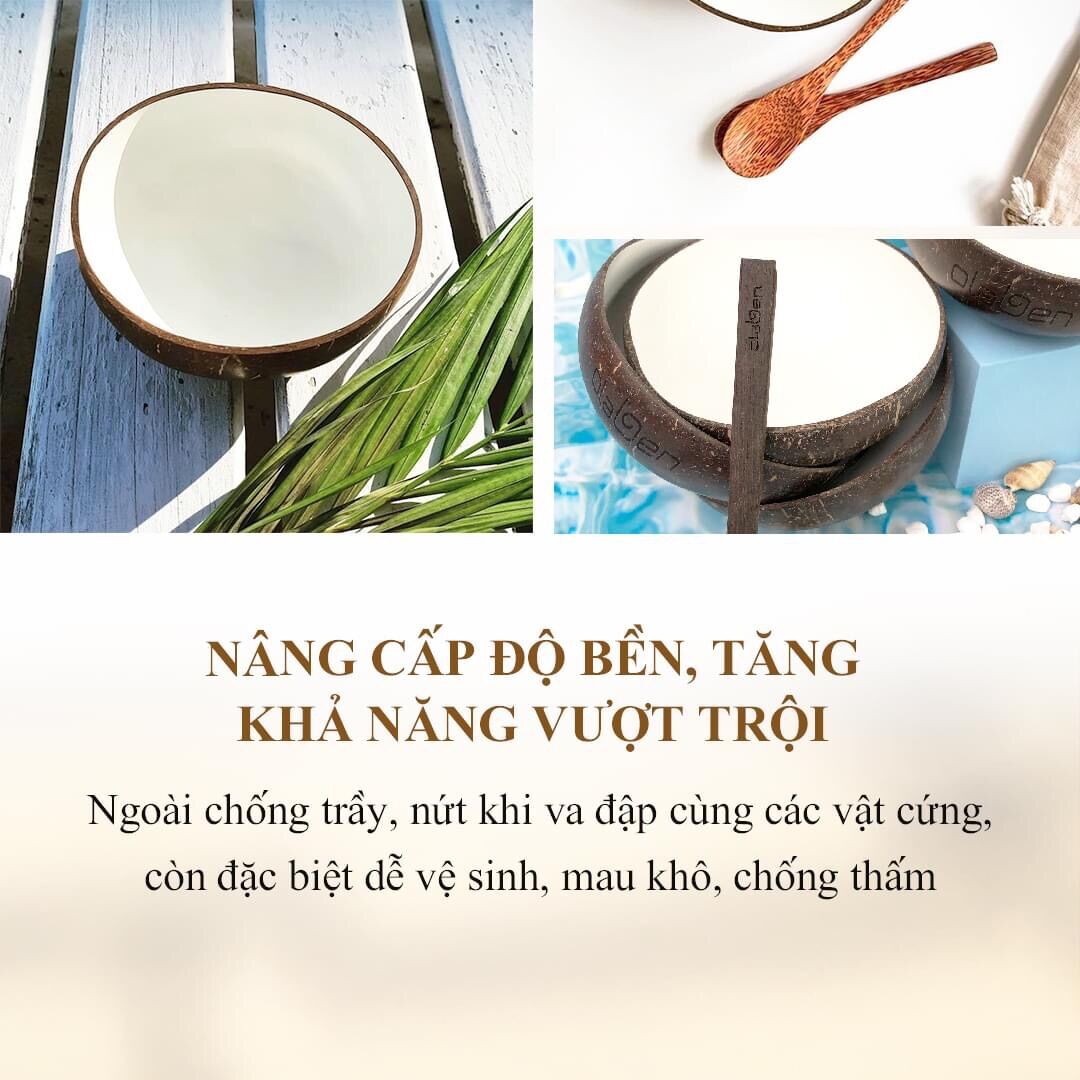 Gáo dừa kèm muỗng Olaben Nutrition