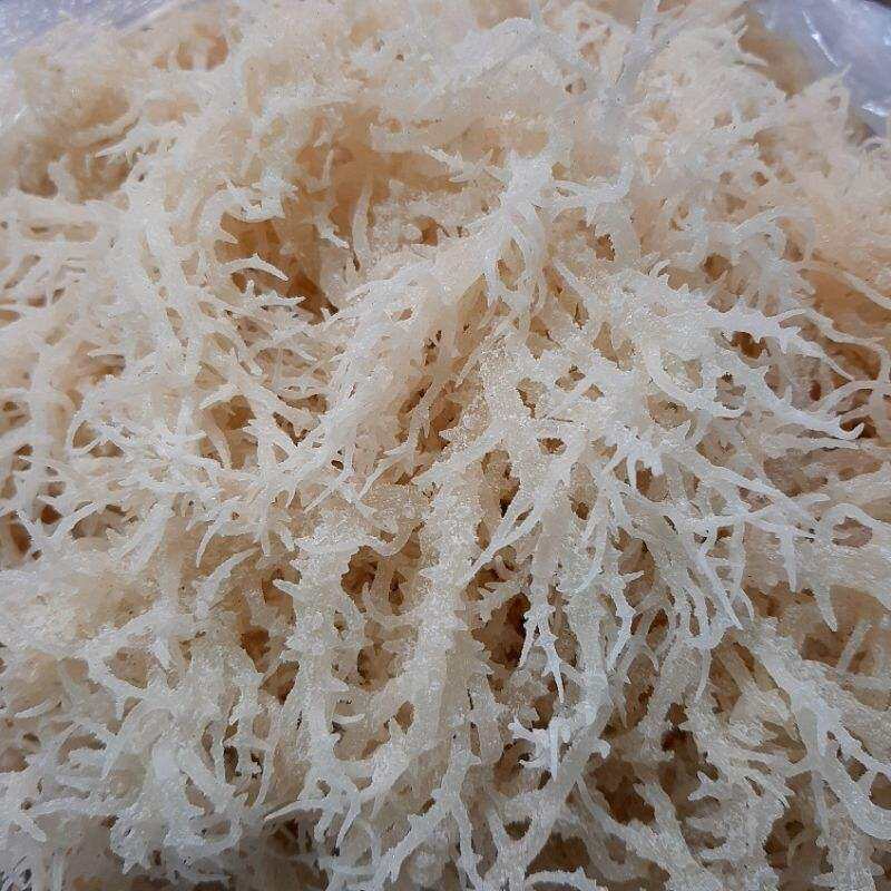 100Gr Rong Sụn/ Rong Biển Khô /Rau Câu Chân Vịt