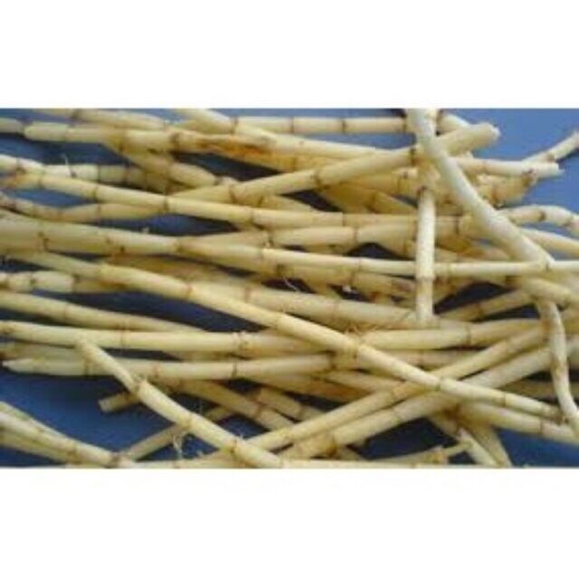 Rễ cỏ tranh khô nấu nước sâm