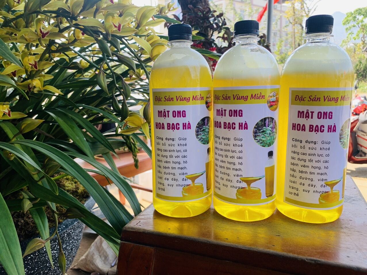 Mật bạc hà 1lít. Mật chuẩn bao test