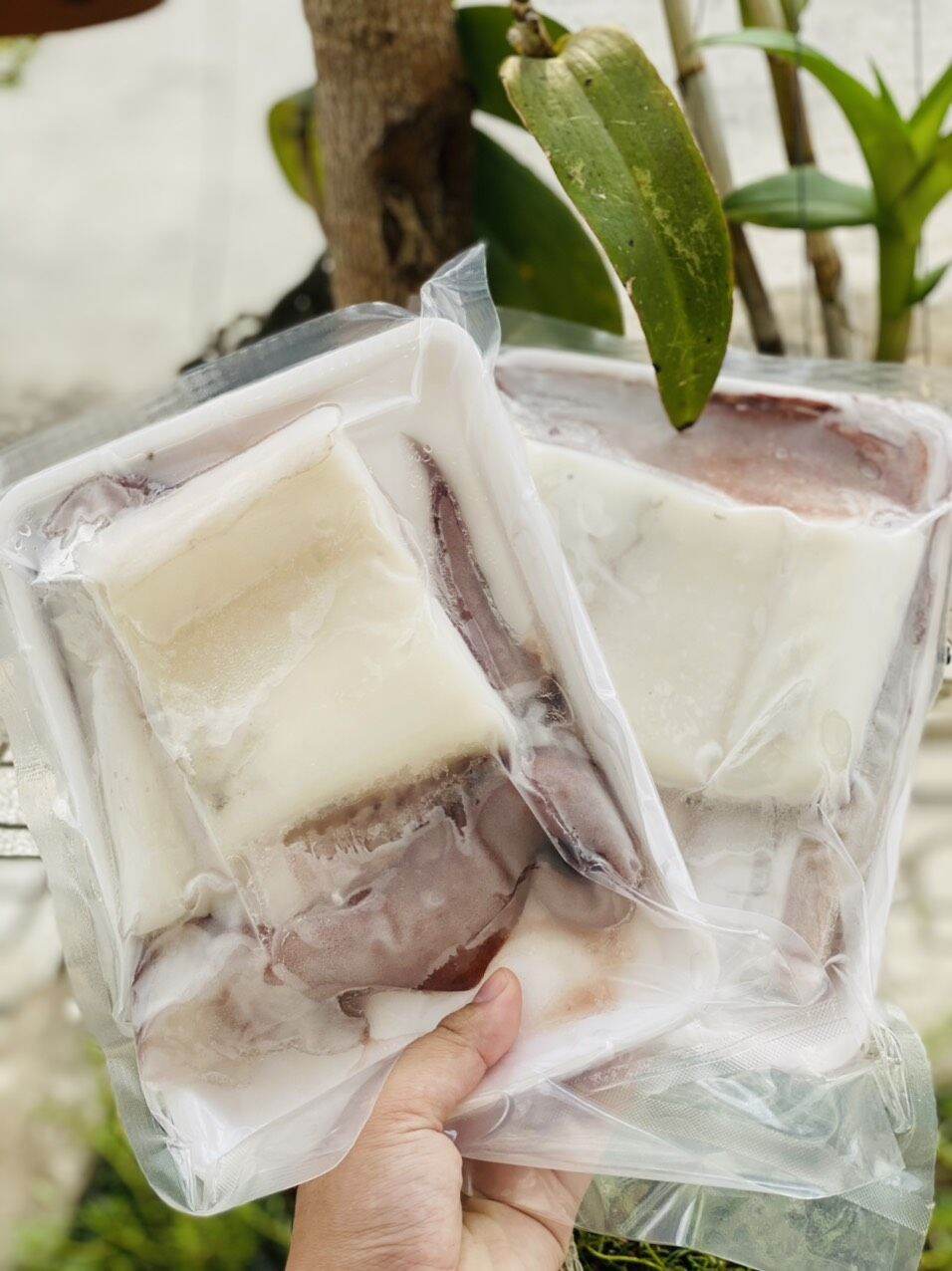 [GIAO NHANH 2H HCM] Mực Lá Đại Dương Cắt Lát sẵn