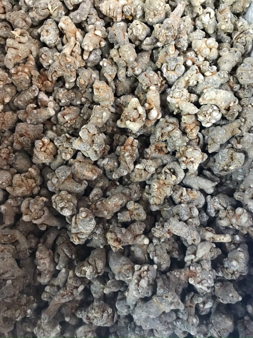 Củ Tam Thất Bắc 500gr Loại 52củ/1kg