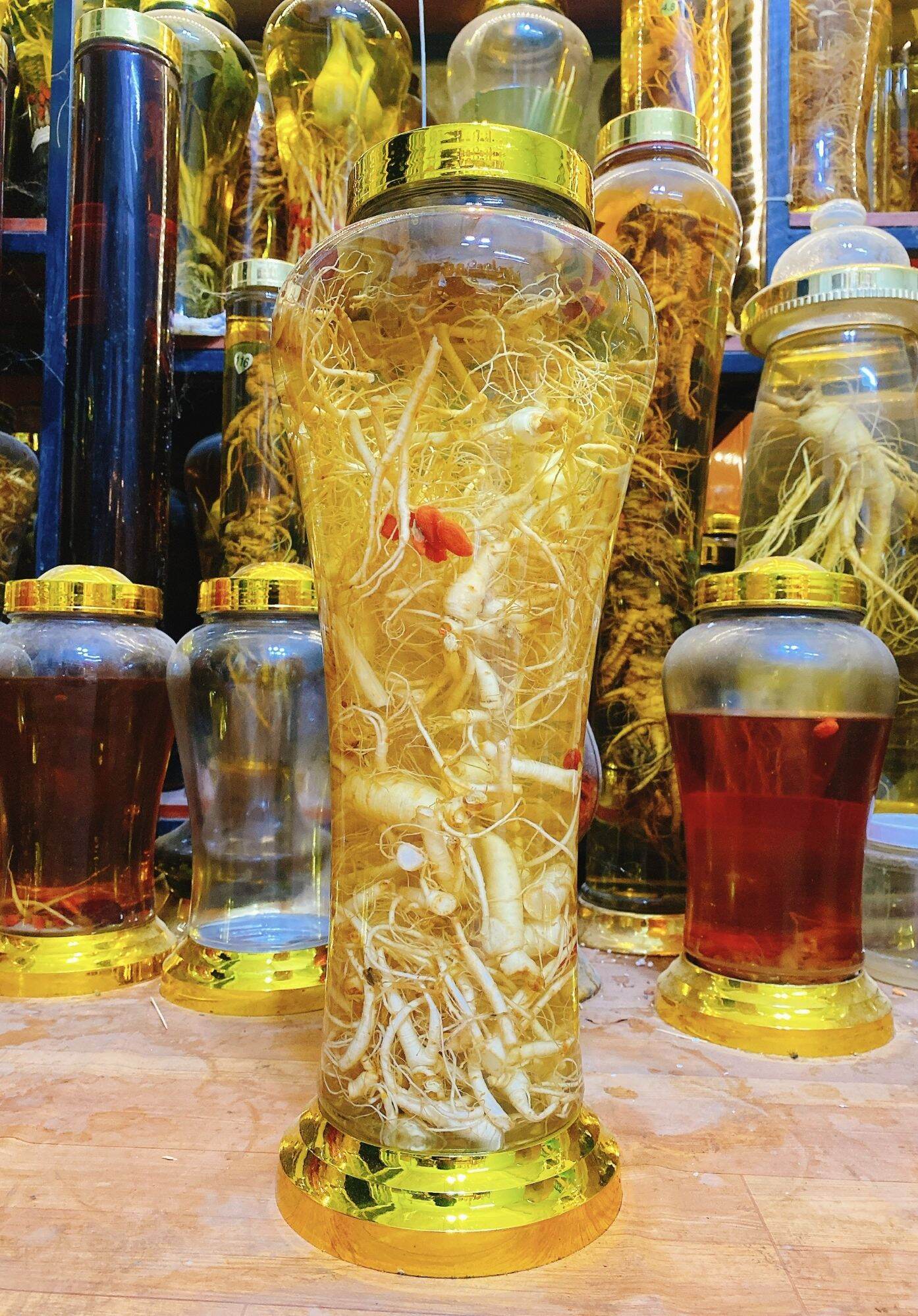 Sâm trường bạch nhí ngâm sẵn