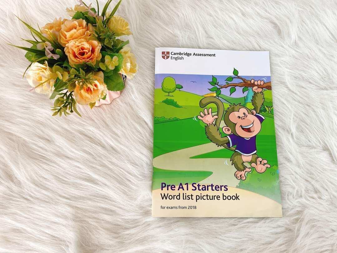 Starters word list picture book