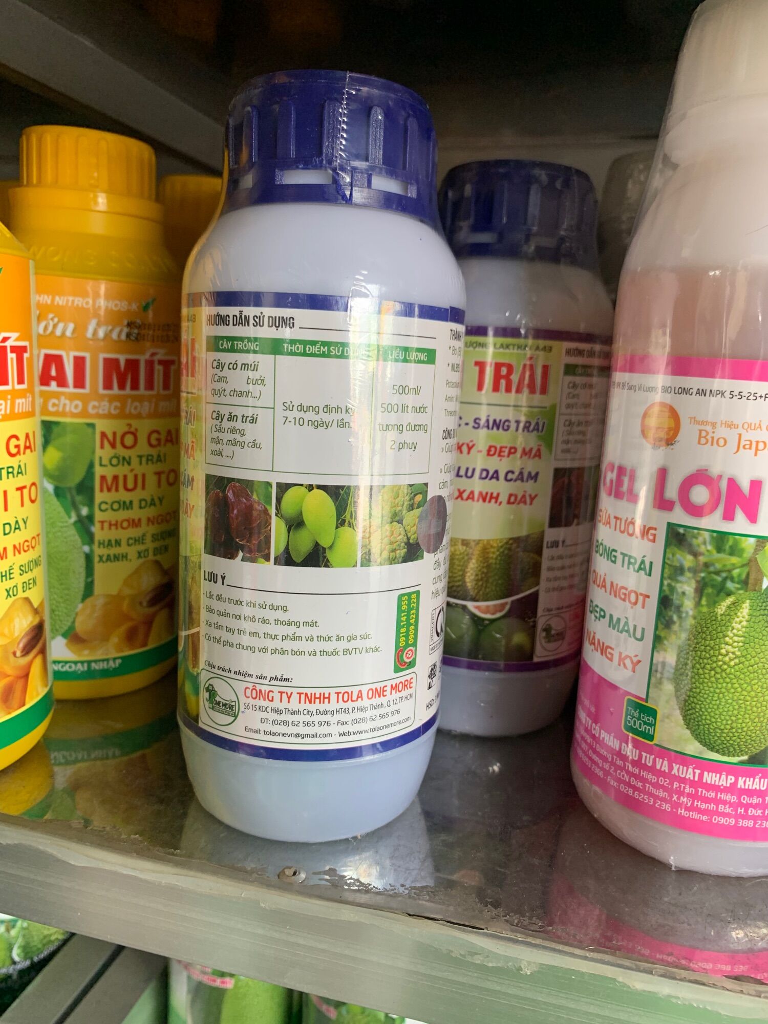 VUA LỚN TRÁI 500ML