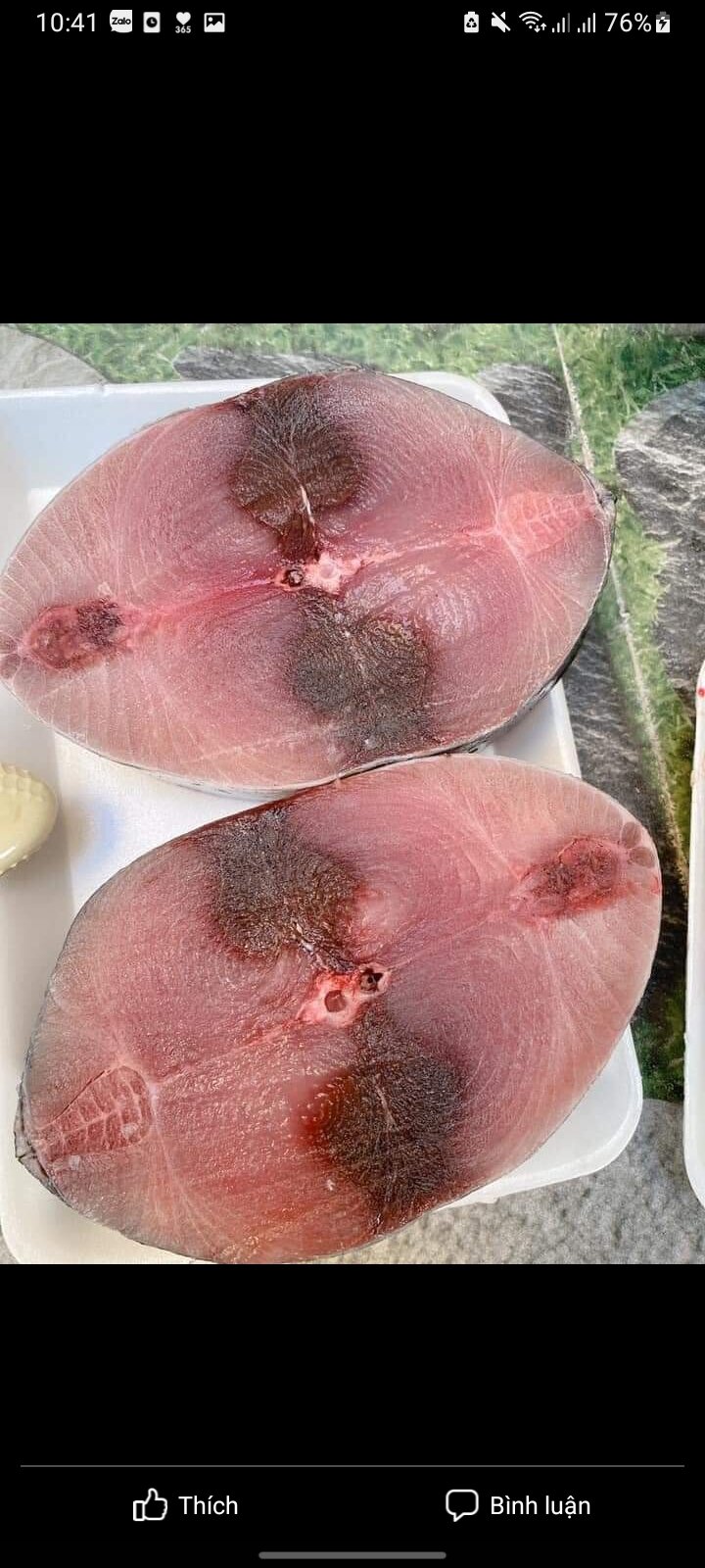 cá ngừ nướng