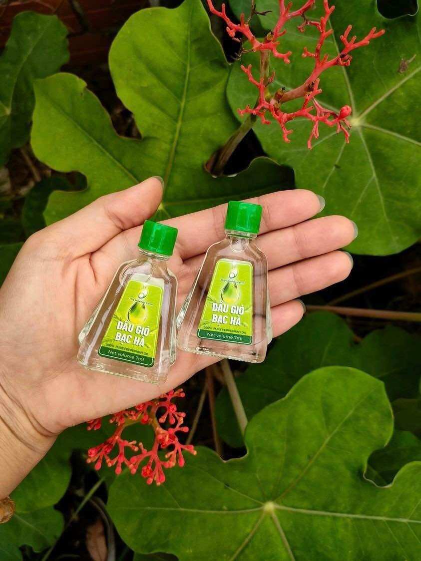 Dầu gió bạc hà The Moshav farm