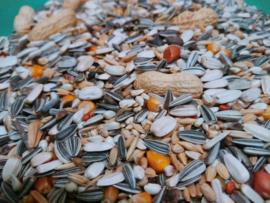 Hạt trộn vẹt lớn hàng Deli chiết lẻ túi 500g - 1kg