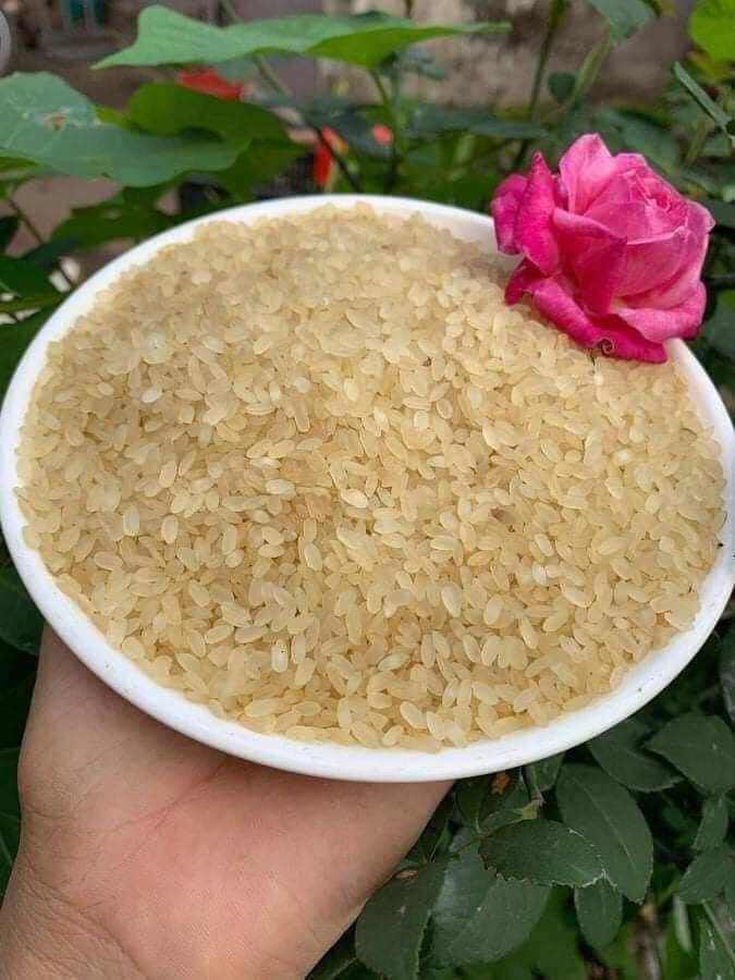 Nếp non tú lệ