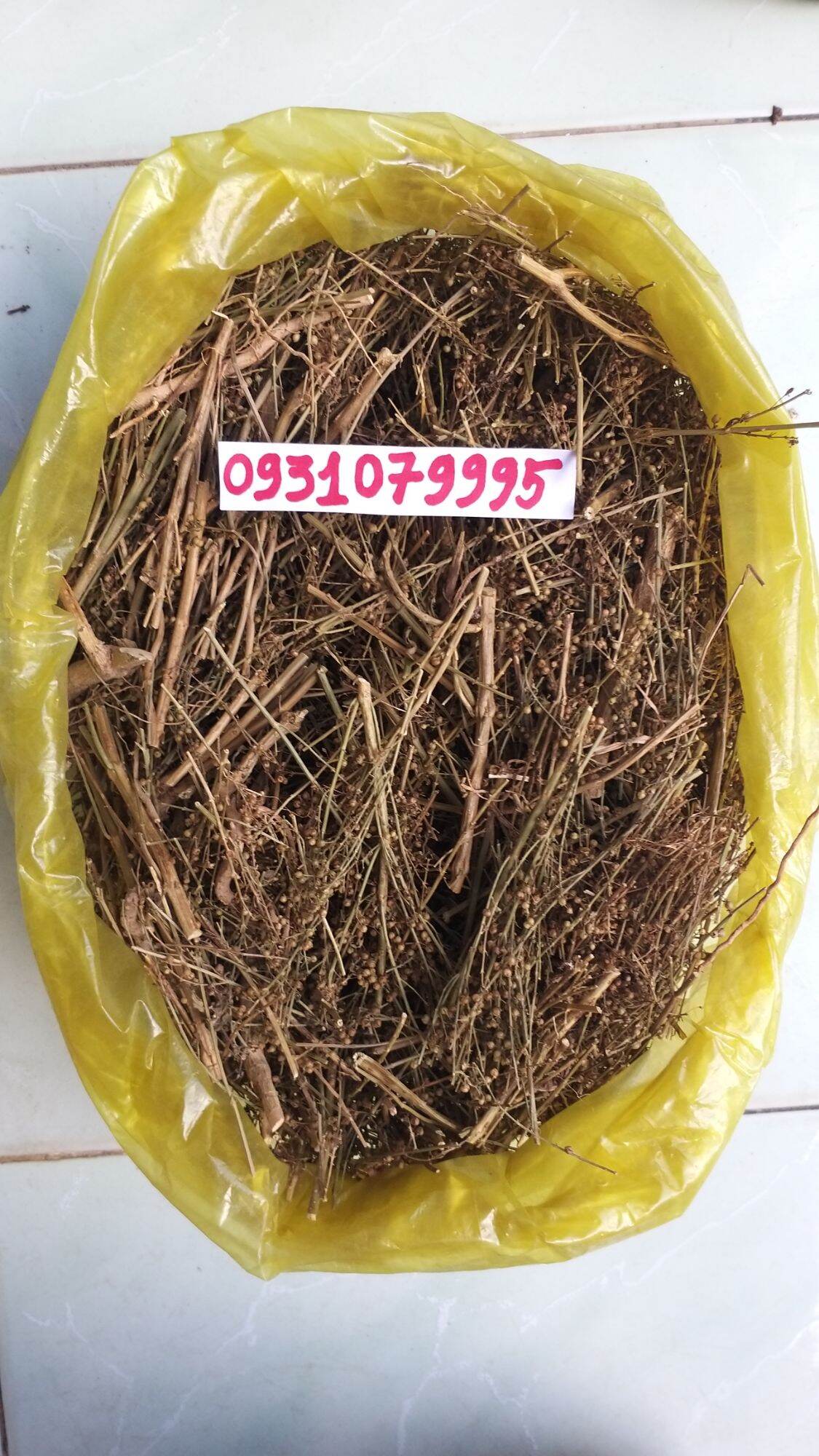 cây cam thảo đất - cam thảo nam phơi khô 1kg