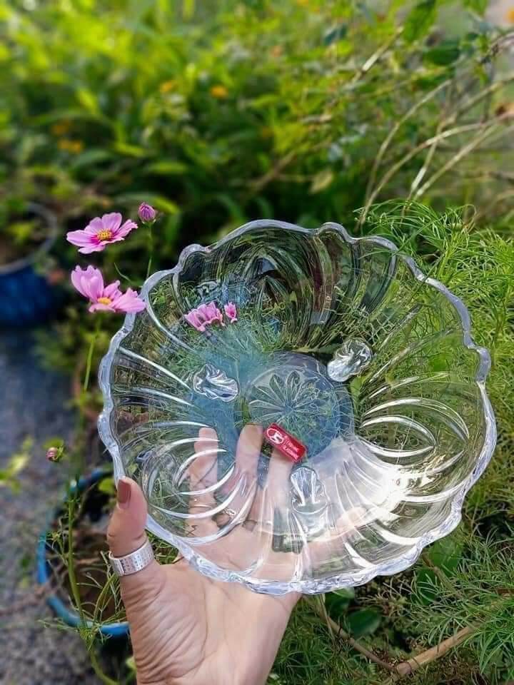 ✨🌸ĐĨA THUỶ TINH 3 CHÂN🍀✨