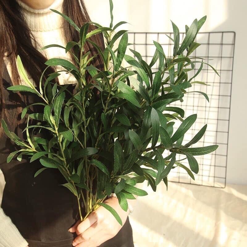 Cành lá oliu giả - Cành oliu 6 nhánh dài 90 cm cắm điểm trang trí