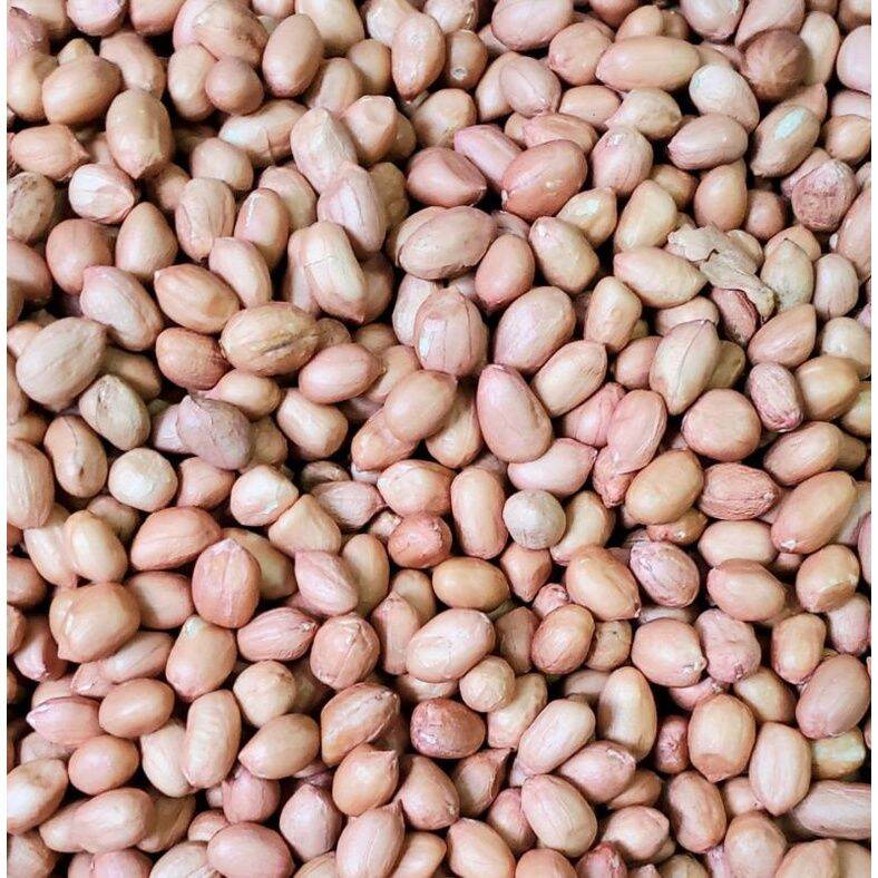 Lạc trắng đậu phộng nghệ an - hàng chọn - 1kg
