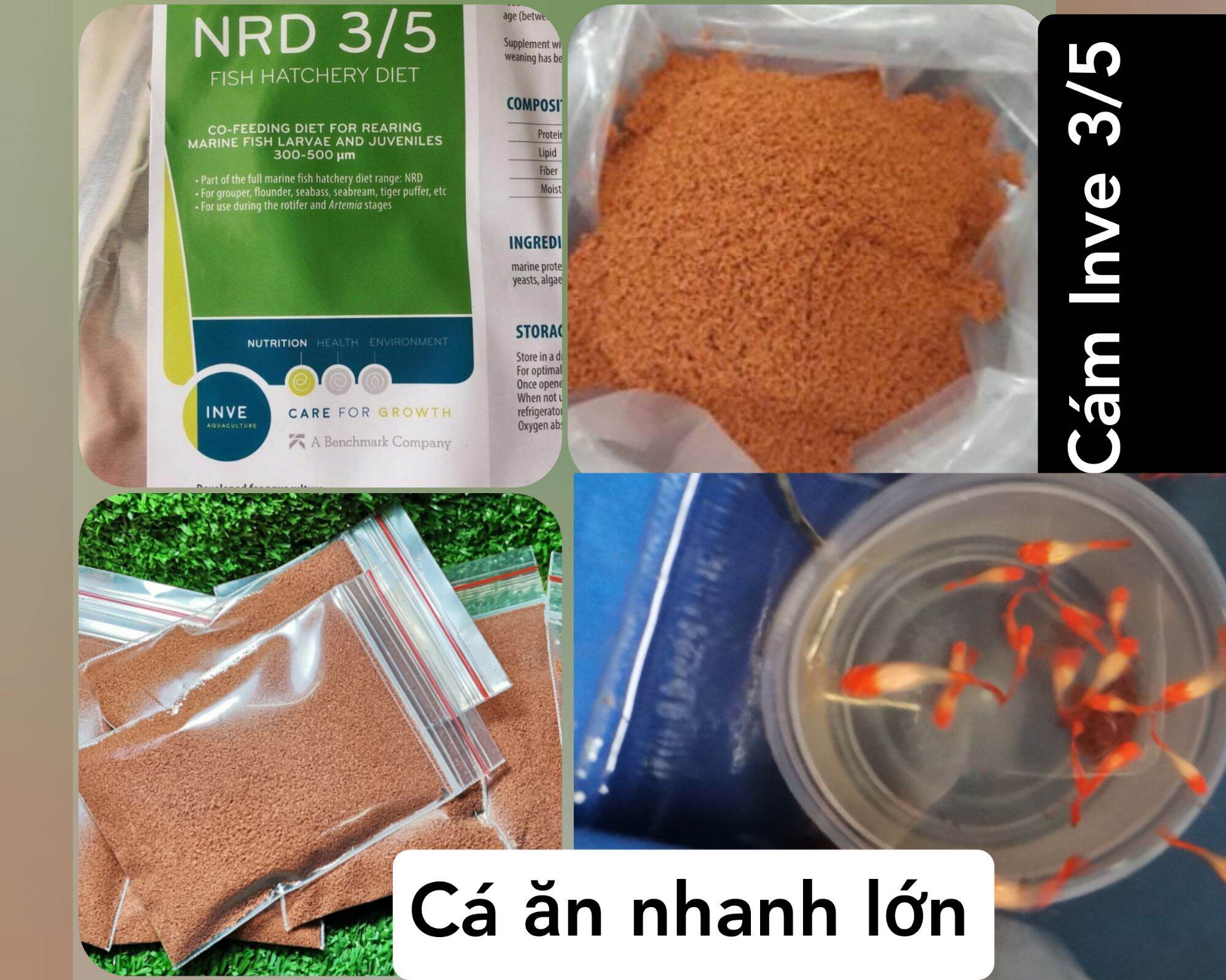 [HCM]Combo 4 gói thức ăn cho cá dạng bột - Nga Guppy