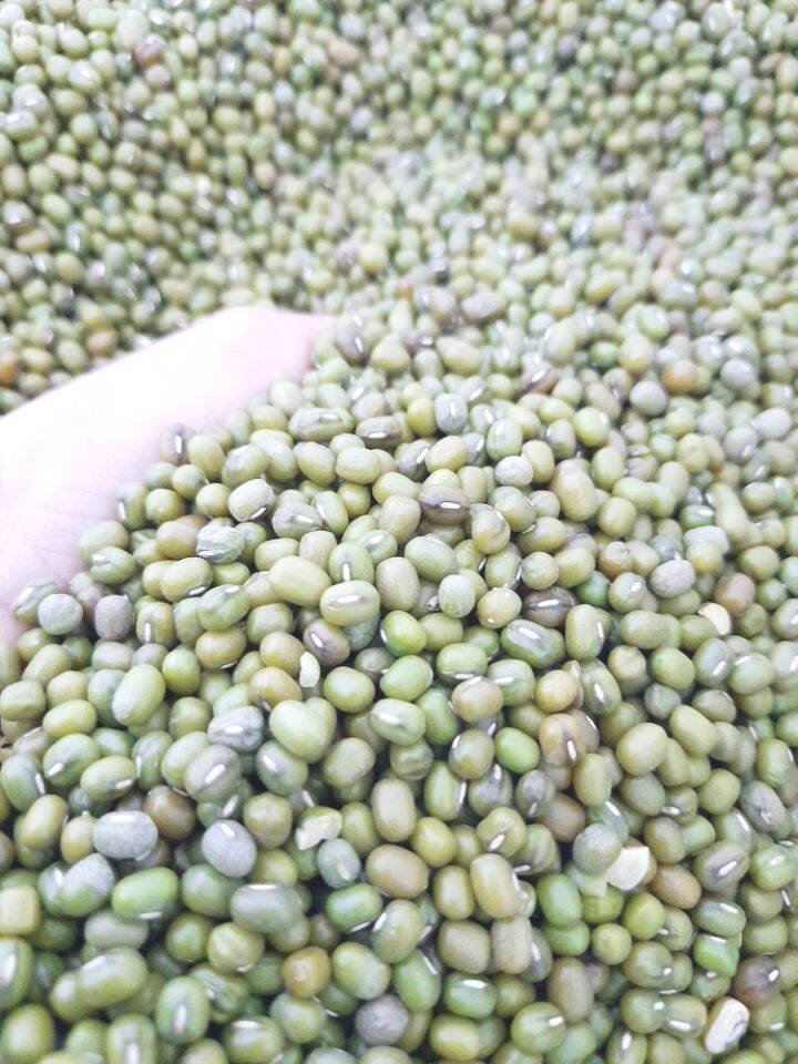 Đậu xanh nguyên hạt 1kg