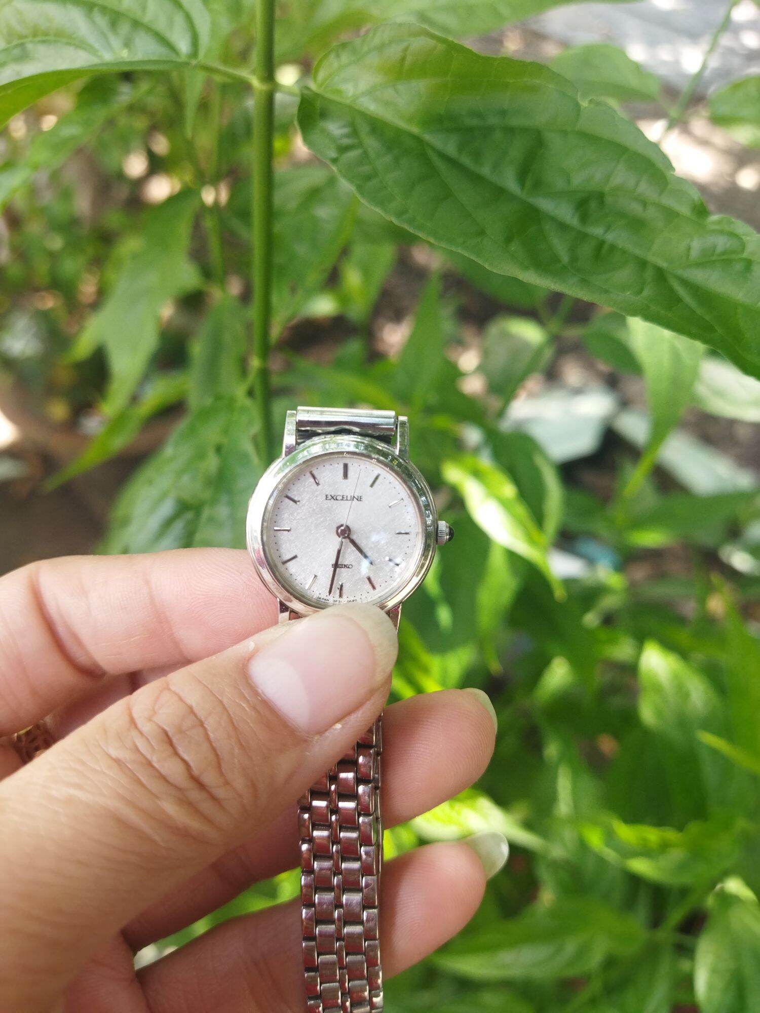 Đồng hồ nữ Seiko