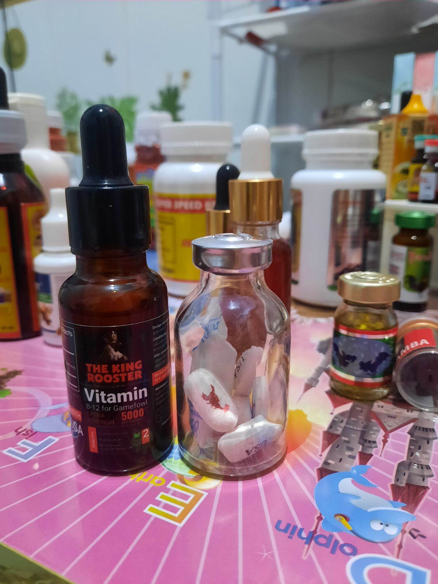 Combo 1 chai 20ml b12-5000 + 1 viên đá bò cạp mỹ cho gà