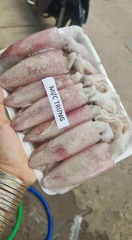 1kg Mực trứng (hàng nét 6, hoả tốc 2h tphcm)