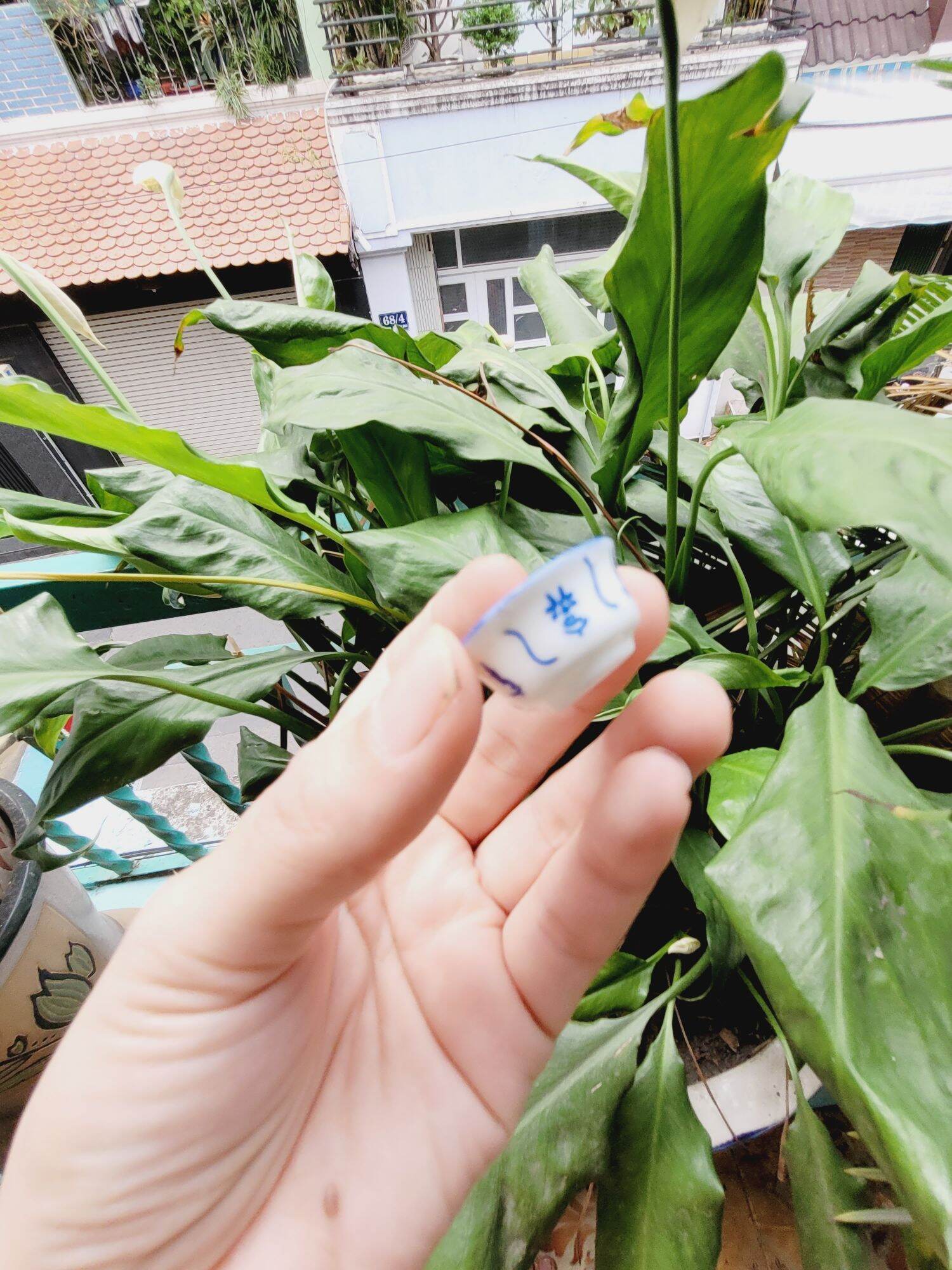 Chén Dĩa sứ mini cho mô hình dollhouse , miniature