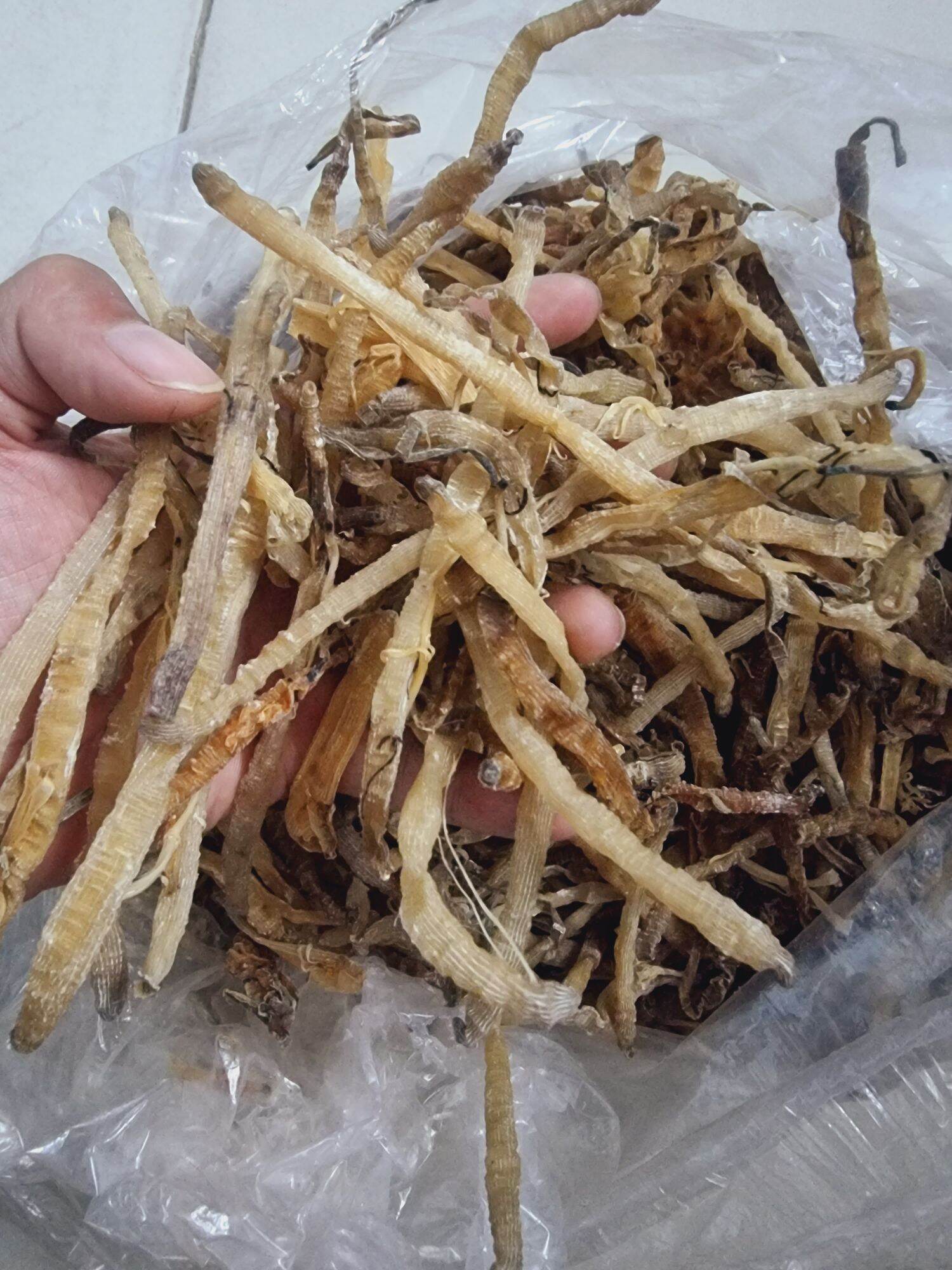 Sá Sùng Khô Quan Lạn Đặc Biệt