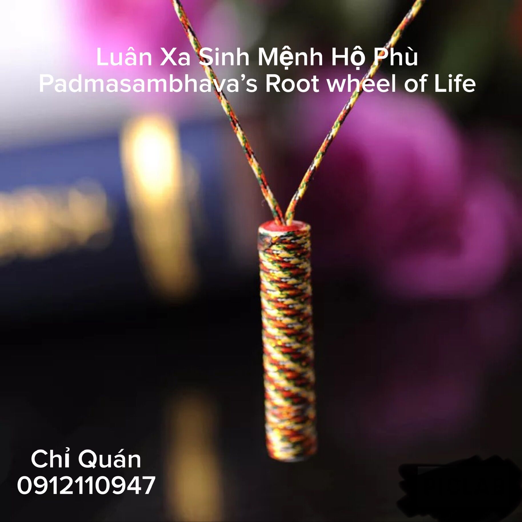 Luân xa sinh mệnh hộ phù - gốc rễ của sự sống