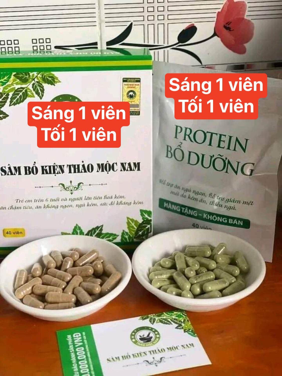 Sâm Bổ Kiện Thảo Mộc Nam