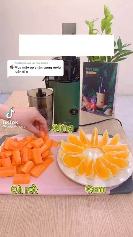 Máy ép chậm