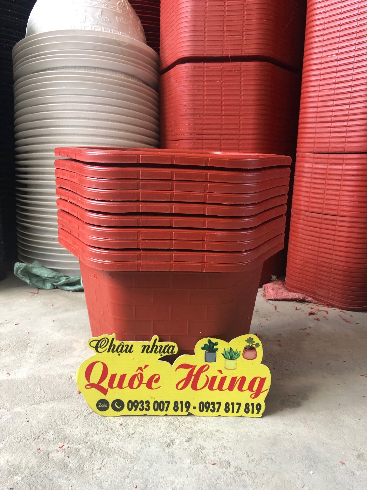Combo 5 chậu FA450
