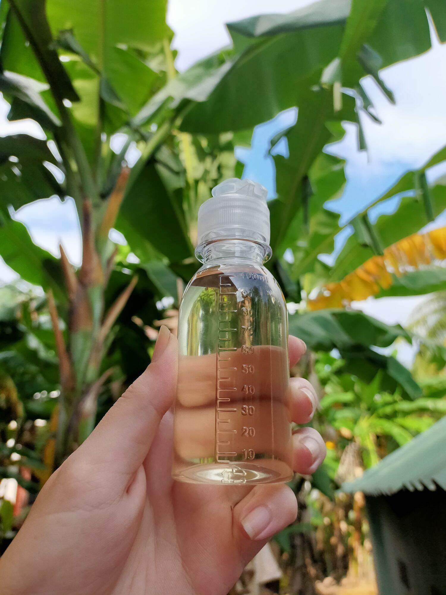 Dầu dừa nguyên chất nấu thủ công (lọ 100ml)