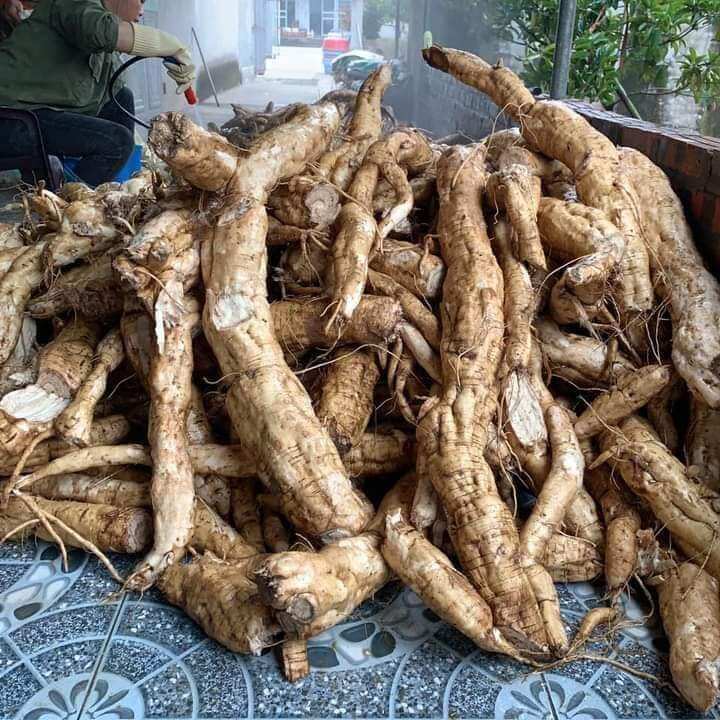 1kg bột sắn dây nhà làm