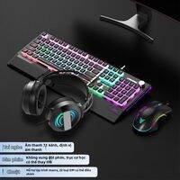 LANGTU | Bộ Bàn Phím Cơ Chơi Game Chuột Tai Nghe Có Dây 3 Món