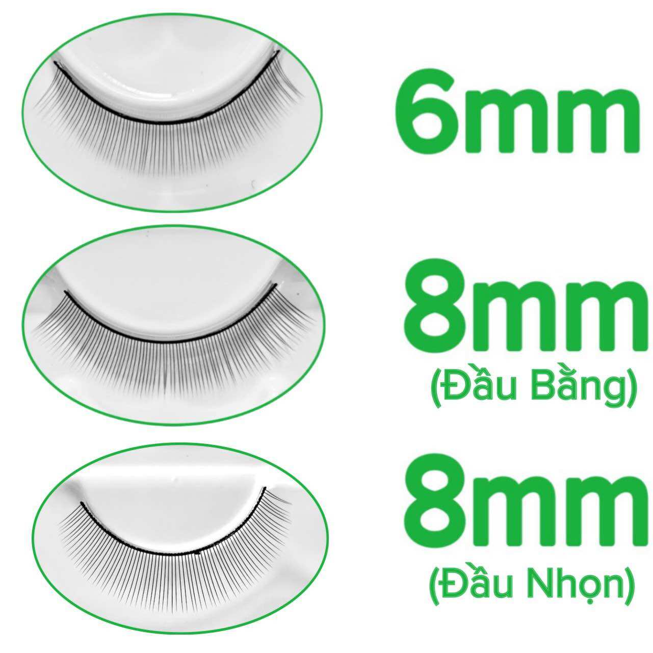 Mi tập nối 5 cặp và 10 cặp