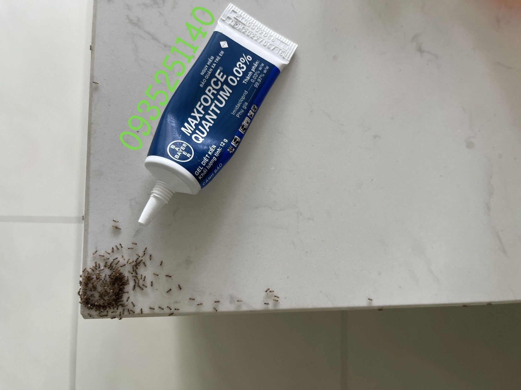 Thuốc diệt kiến Maxforce Quantum Tuýp 12g - Sp của Bayer Pháp