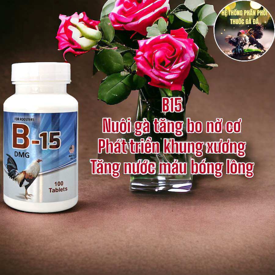 Thuốc gà đá b15 tăng bo, nở cơ, tăng nước máu cho gà đá