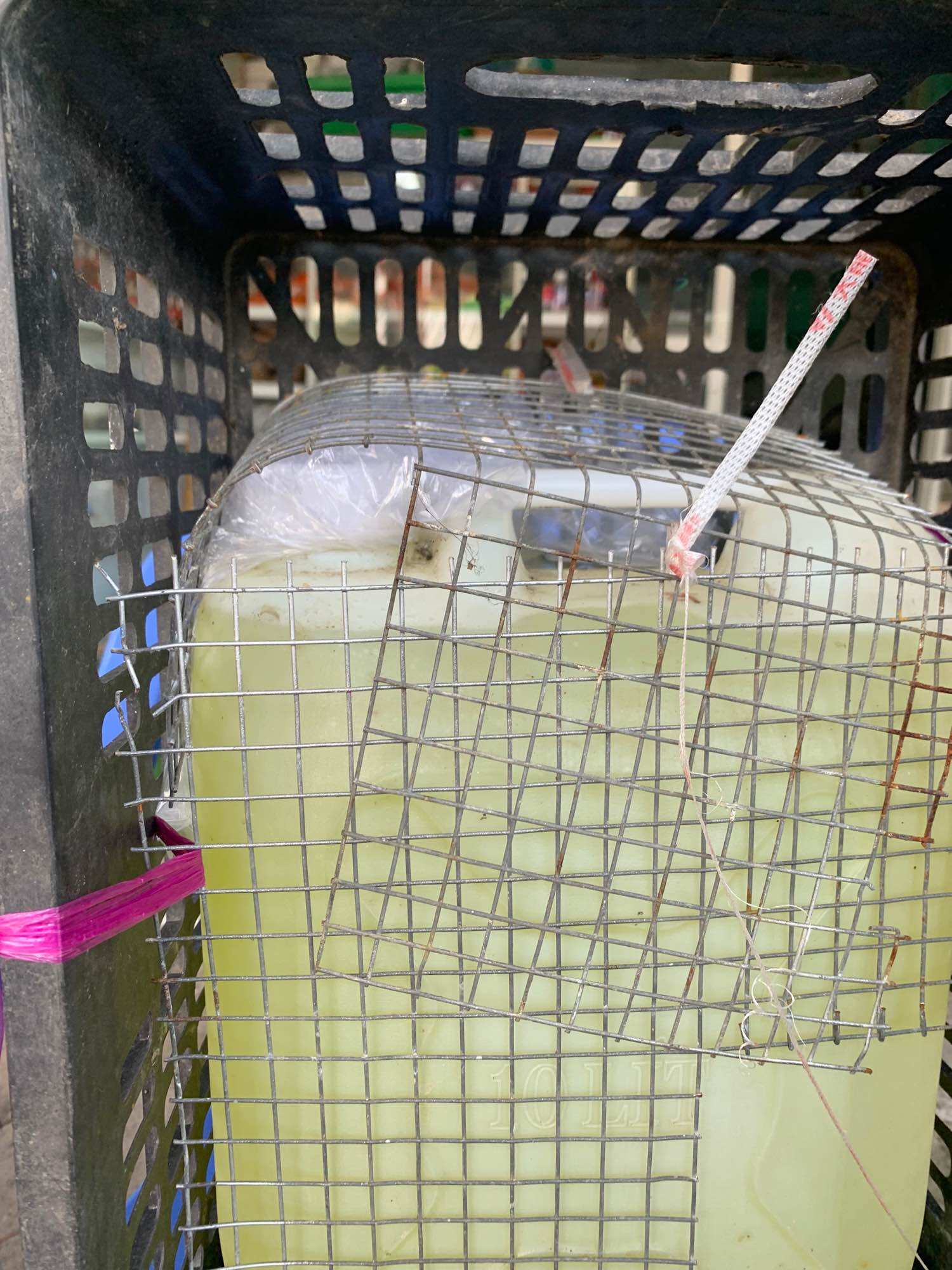 Rượu ngô hà giang can 20 lít