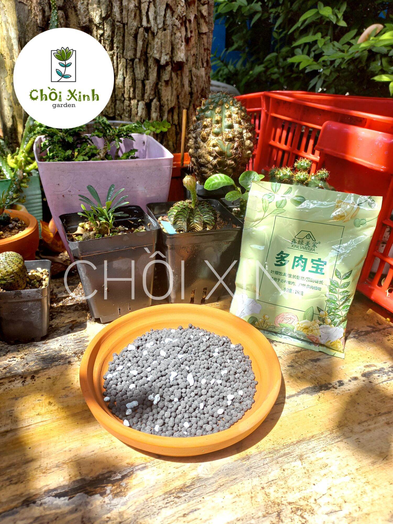 Phân Bón Tan Chậm Cho Sen Đá Xương Rồng mập ú ( 150g )