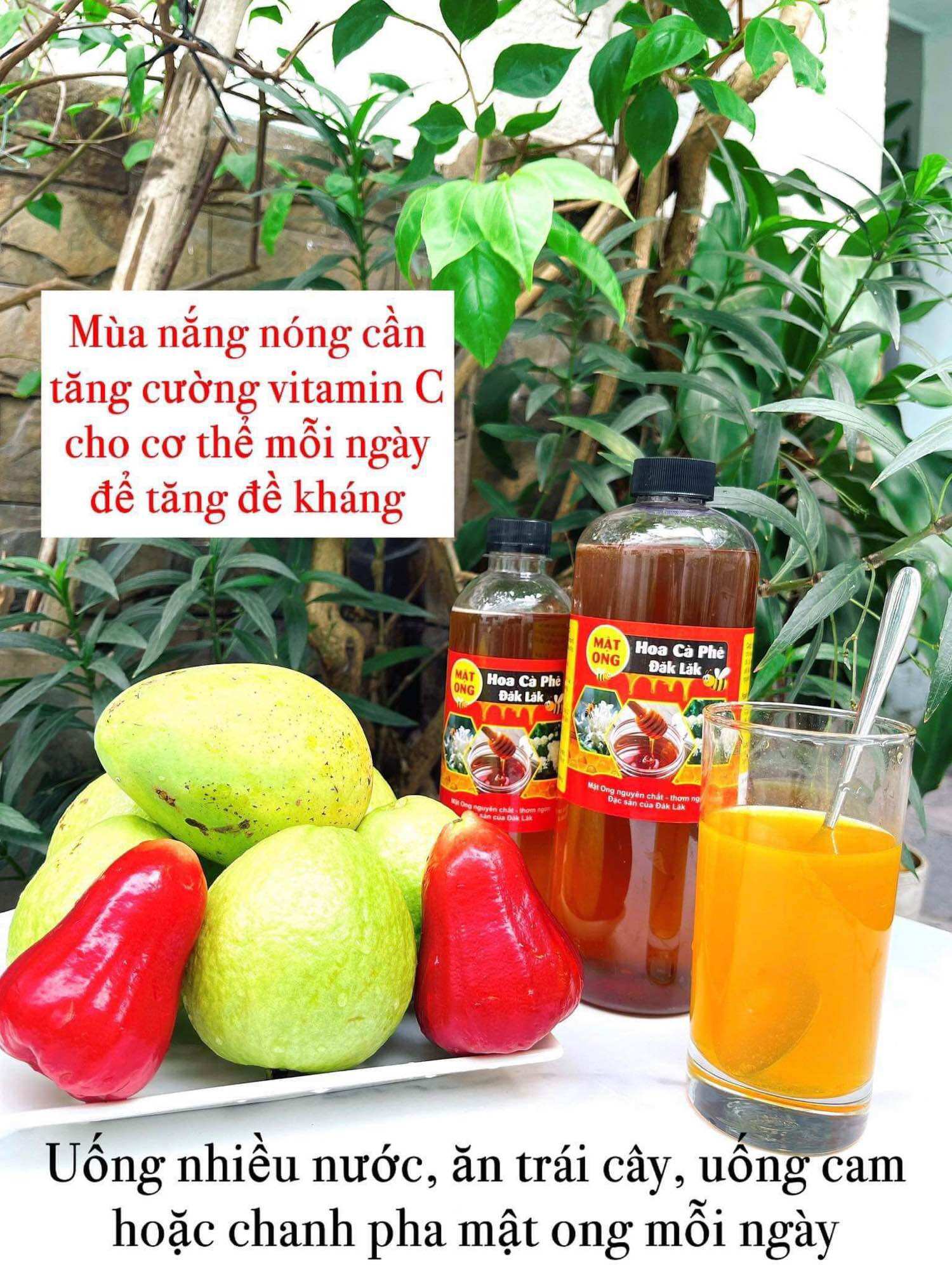 Mật Ong Hoa Cà Phê Daklak