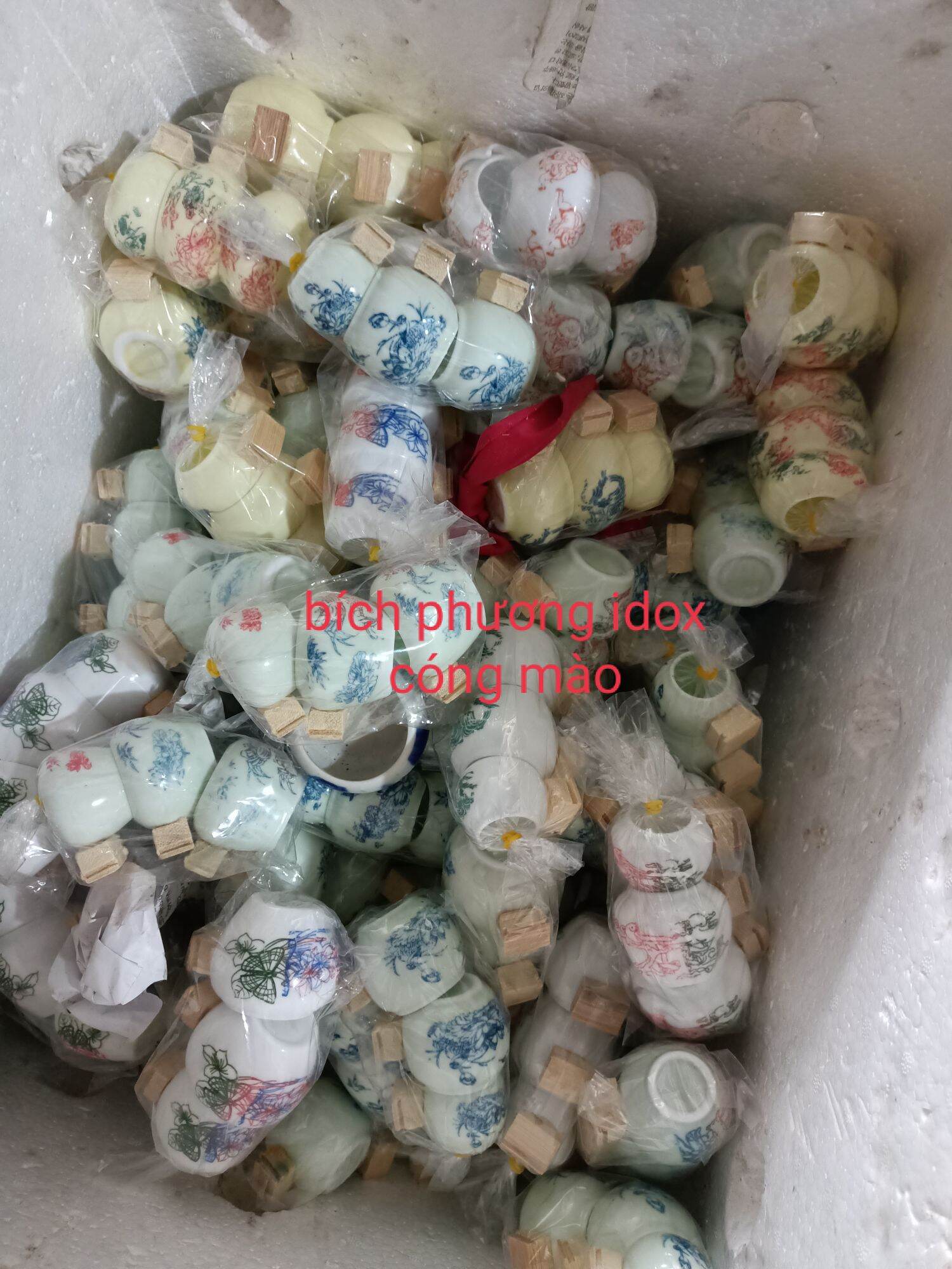 cóng sứ chào mào