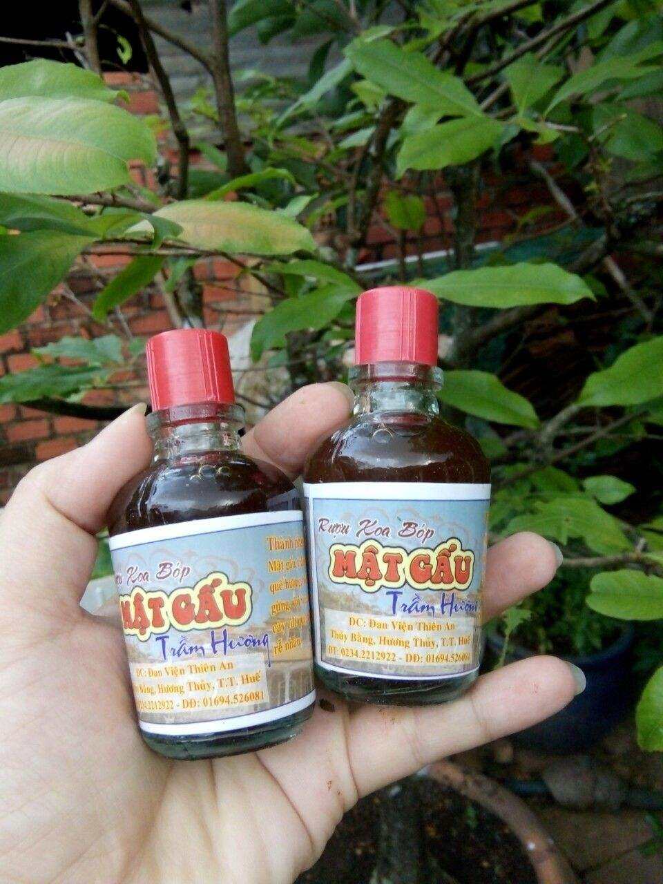 dầu xoa bóp cây mật gấu trầm hương