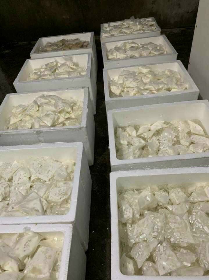 Combo of 4 Bags of Hai Phong Dried Coconut Tea (Fast Delivery)