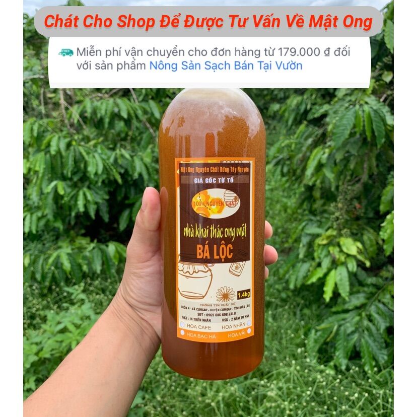 Mật ong hoa cà phê Bá Lộc nguyên chất - Mật ong thiên nhiên từ rừng cà phê tây nguyên
