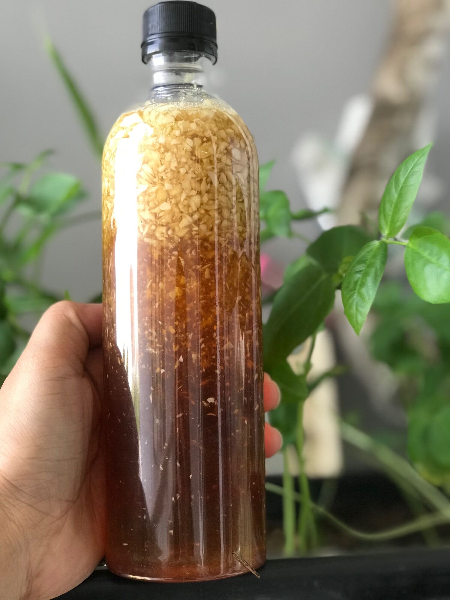 Mật ong ngâm tỏi nguyên chất
