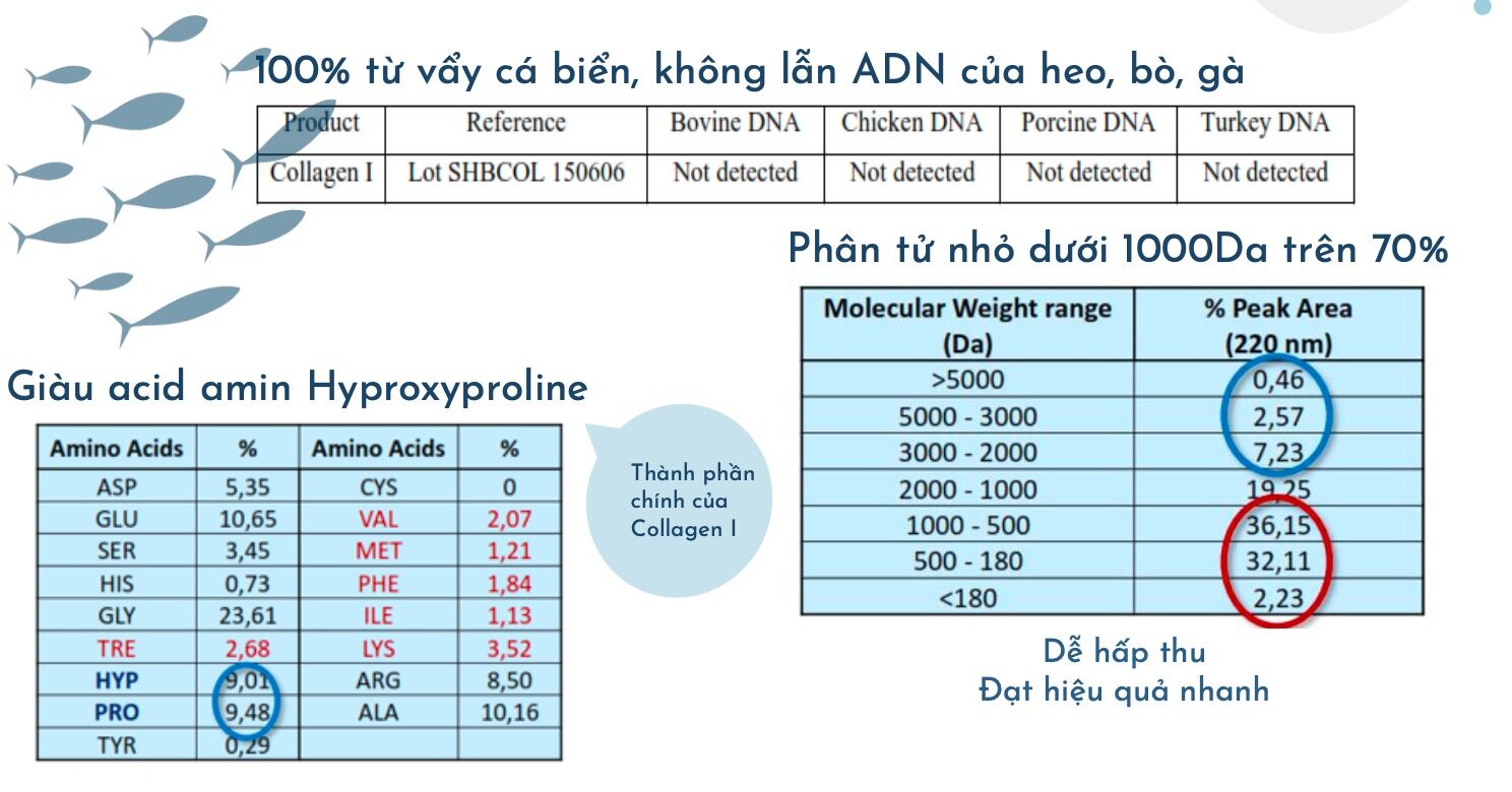 Marine Collagen - 100% Collagen Từ Vảy Cá Hồi