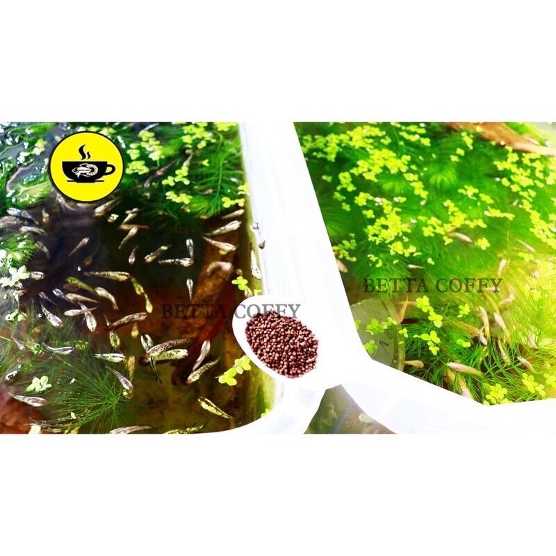 Thức ăn cho cá bảy màu, guppy, betta cá cảnh, cá thủy sinh (gói vàng 20g)