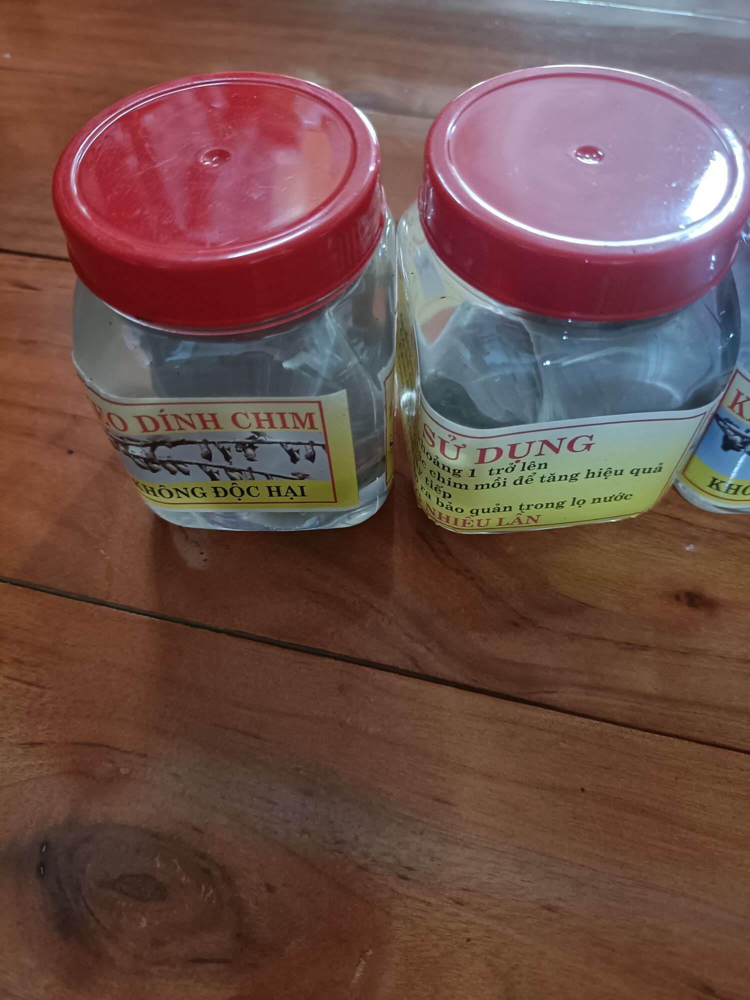 Keo dính chim