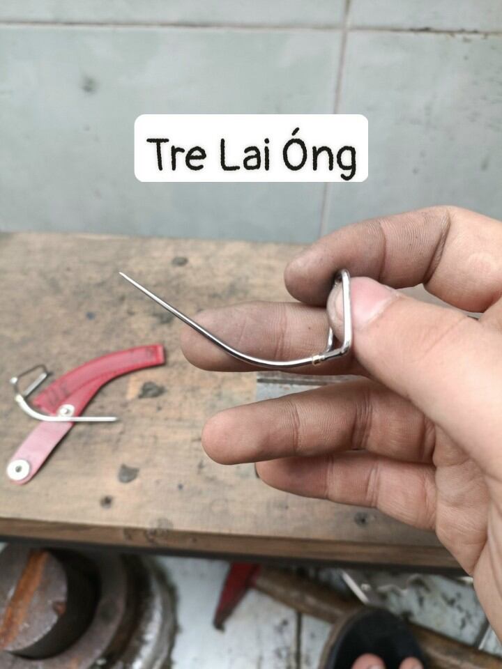 Cựa gà tre lai óng - Đủ Size