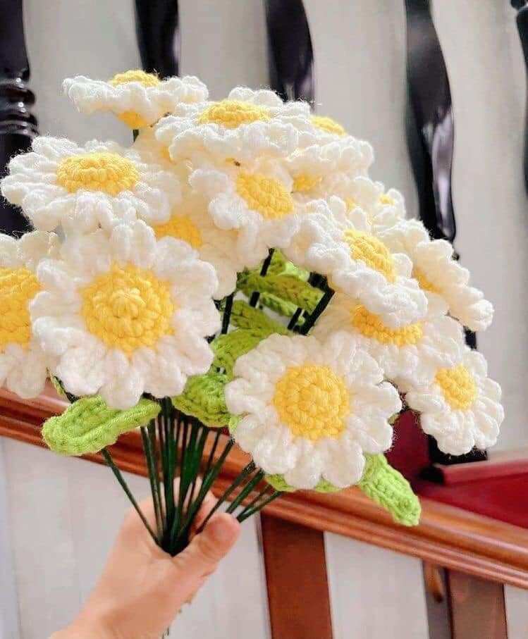 Hoa len cúc hoạ mi tặng dịp lễ, trang trí