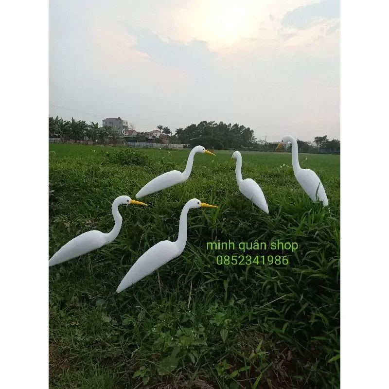 Combo 5 con cò xốp đệm dẻo