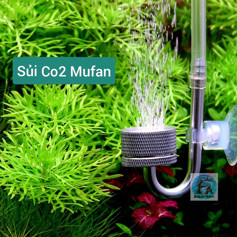 Cốc sủi co2 mufan