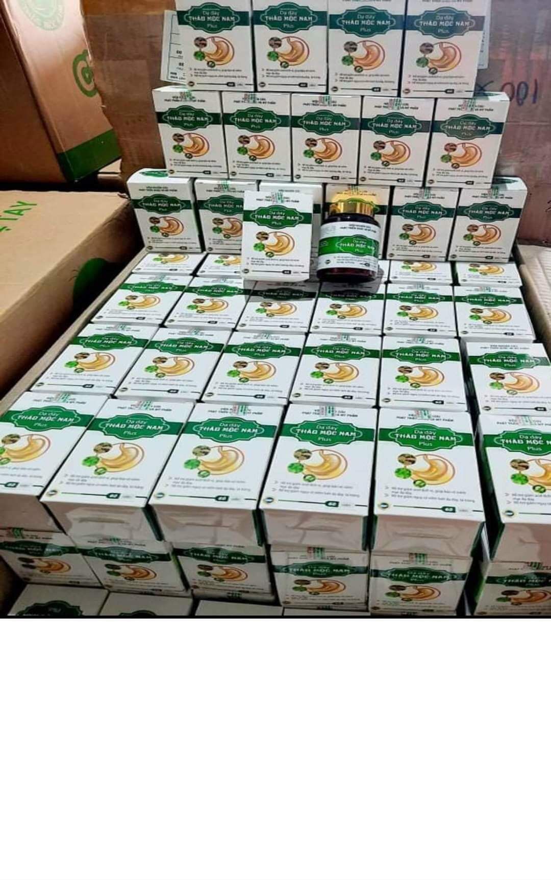 DẠ DÀY THẢO MỘC NAM